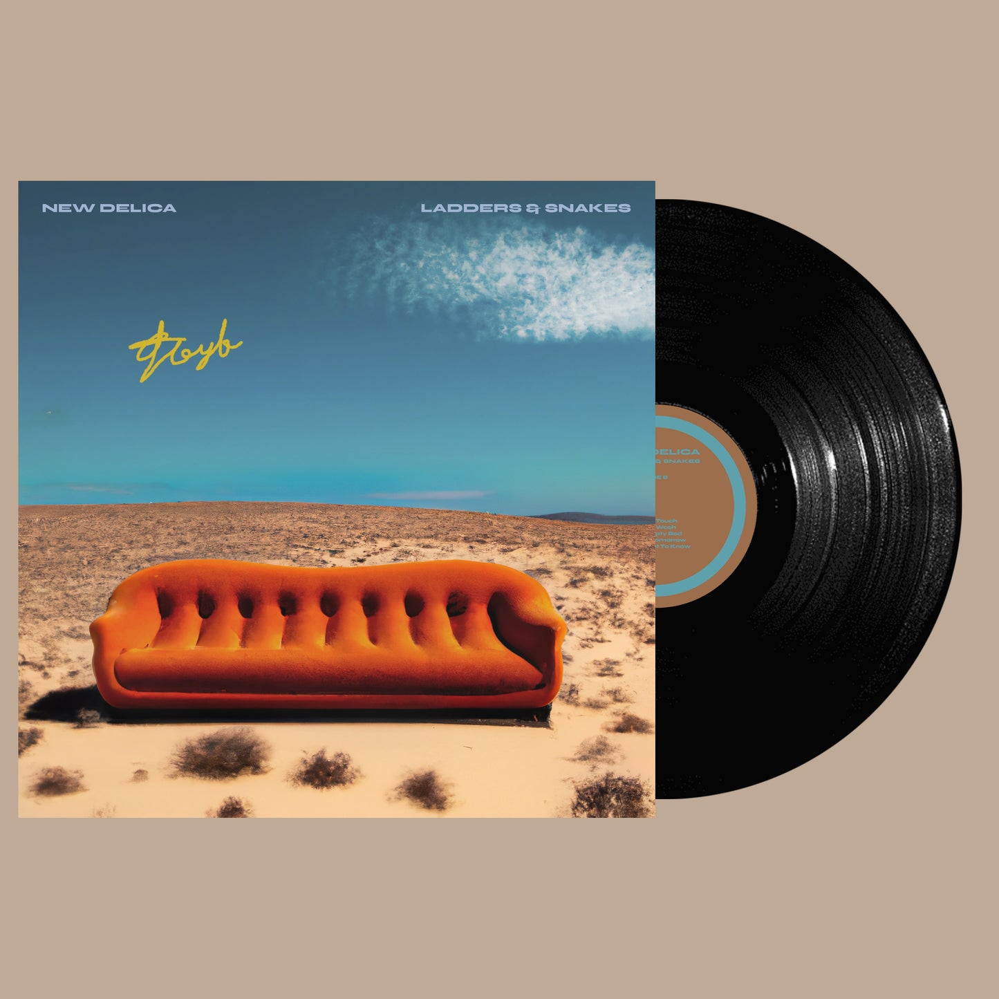 Signed Ladders & Snakes Vinyl